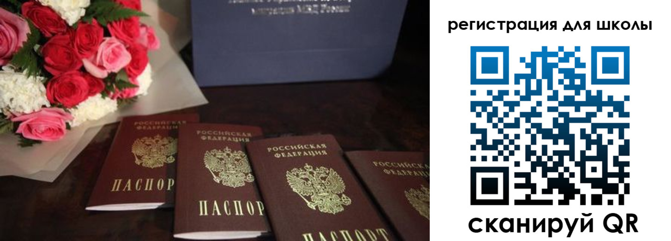 прописка гарантия в Хабаровске